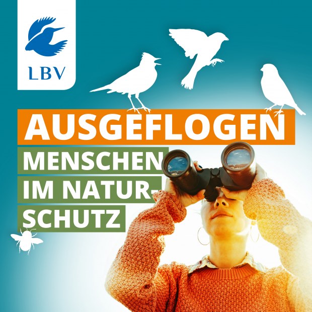 Projekt Vogelfreundlicher Garten Jetzt mitmachen! LBV